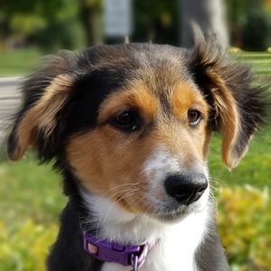 Meet your Posher, Joann